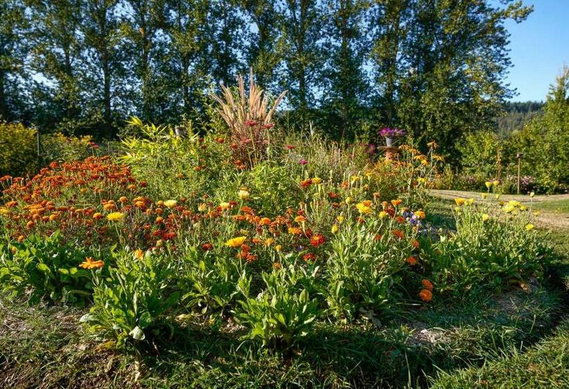 مبيت وإفطار Aux Peupliers