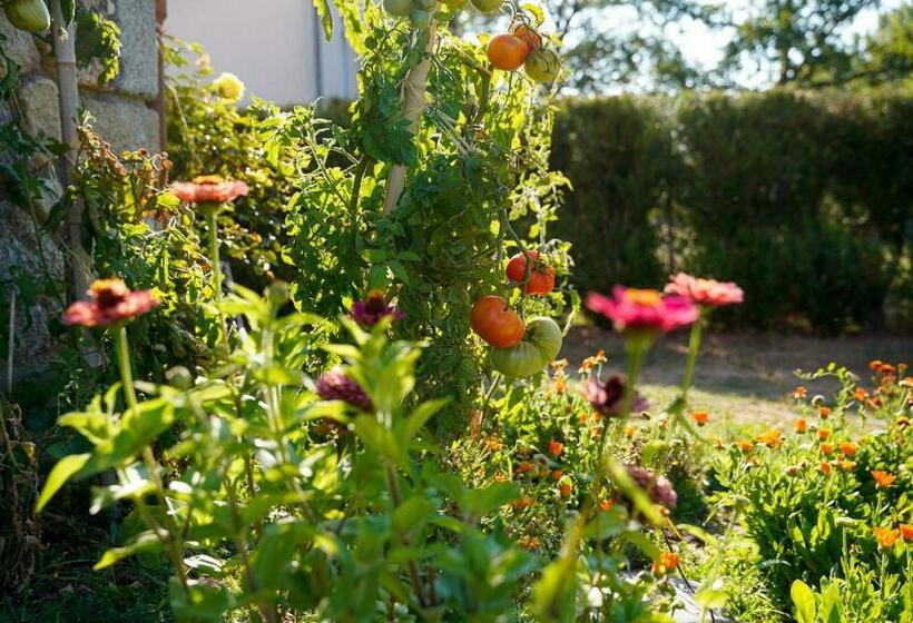 مبيت وإفطار Aux Peupliers