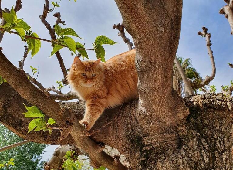 تختخواب و صبحانه Le Domaine Des Mûriers Charme, Chic, Calme En Provence Côte D Azur