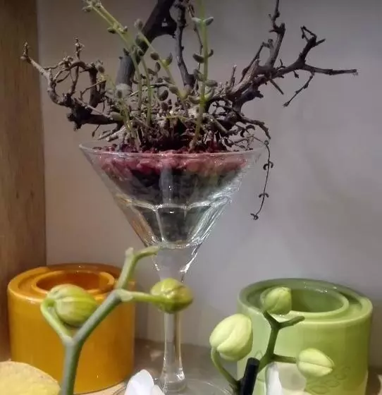 Aamiaismajoitus (B&B) Les Terrasses De Saillans