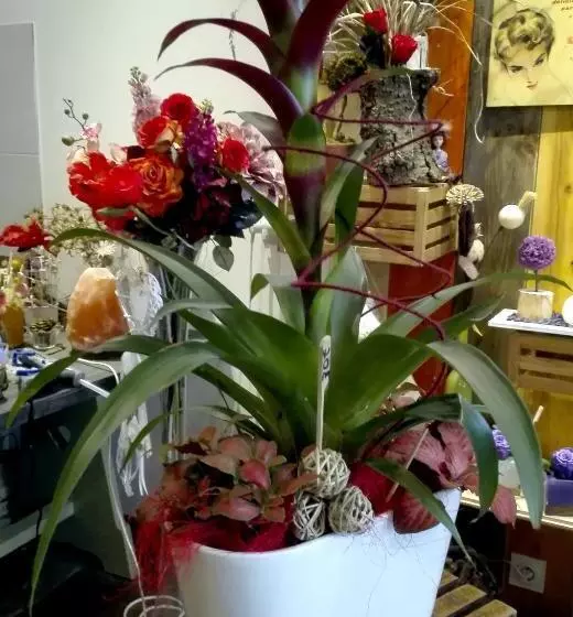 Aamiaismajoitus (B&B) Les Terrasses De Saillans