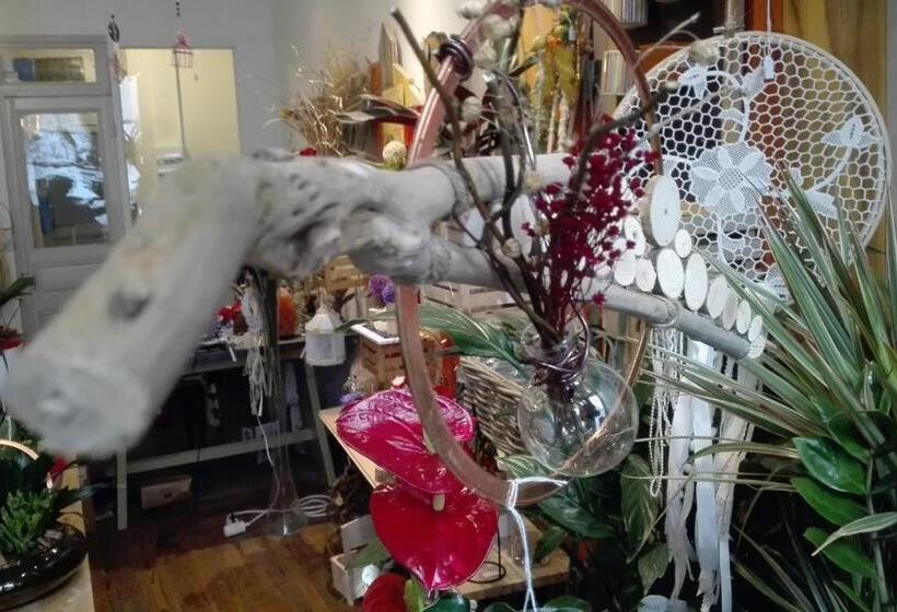 Bed and Breakfast Les Terrasses De Saillans