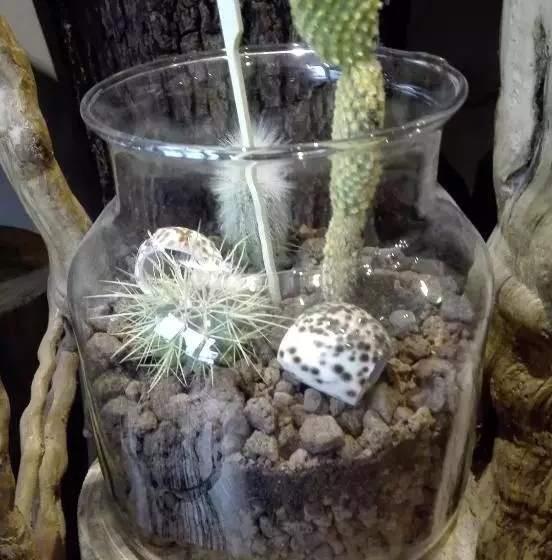 Aamiaismajoitus (B&B) Les Terrasses De Saillans