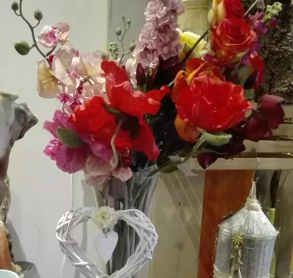 Aamiaismajoitus (B&B) Les Terrasses De Saillans