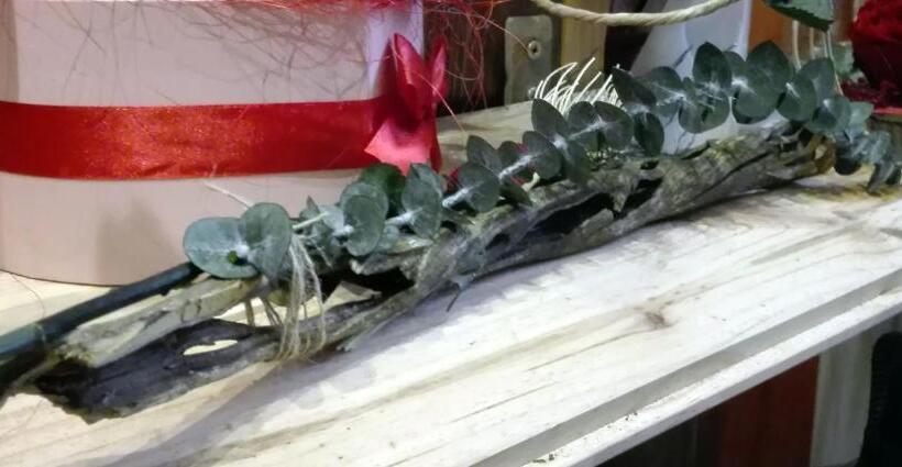 Bed and Breakfast Les Terrasses De Saillans