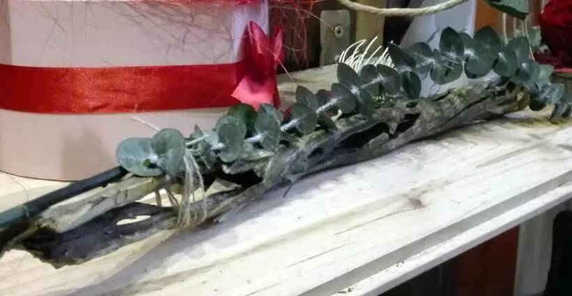 Aamiaismajoitus (B&B) Les Terrasses De Saillans