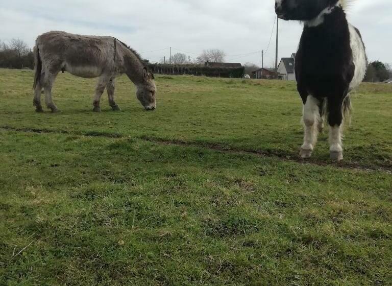 צימר Lieu Baudouin