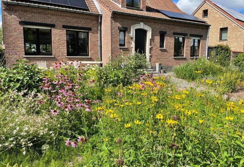 פנסיון B&b Den Biesthoek