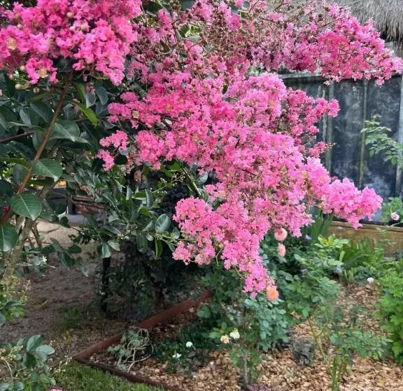 Majatalo Kenilworth House Sc