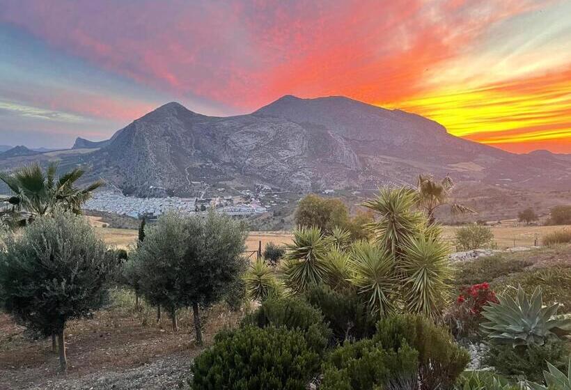 Bed and Breakfast La Sorpresa