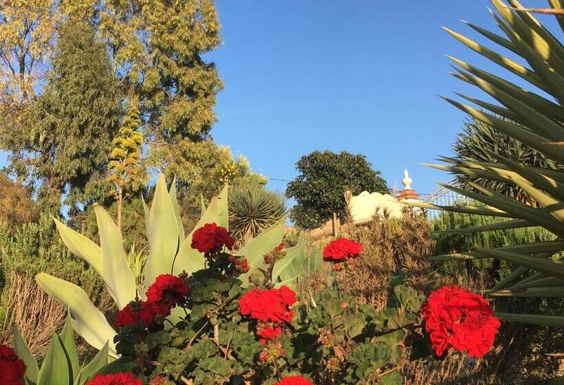 Bed and Breakfast La Sorpresa