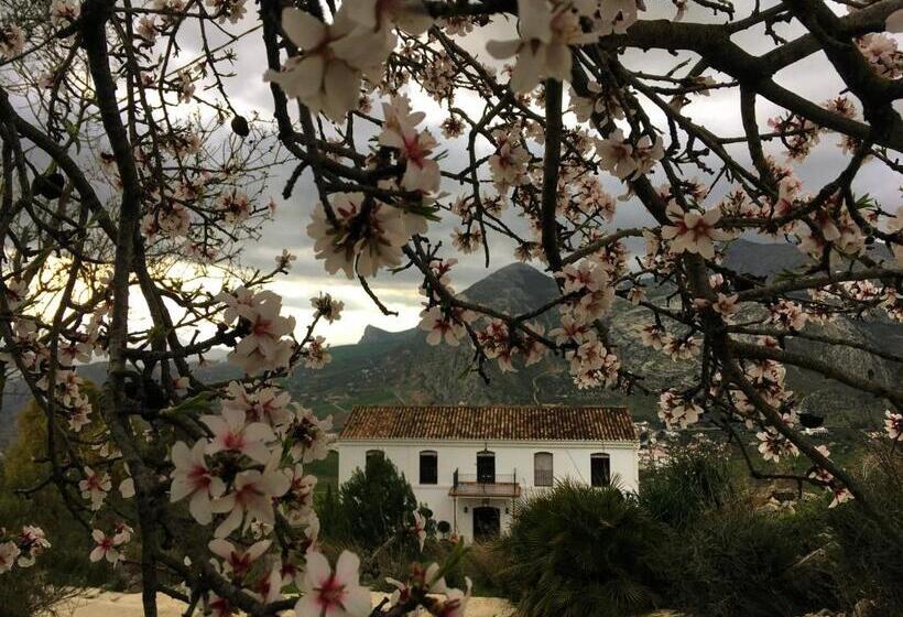 Bed and Breakfast La Sorpresa