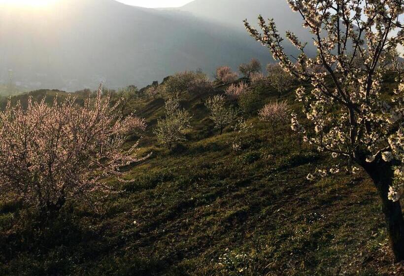 Bed and Breakfast La Sorpresa