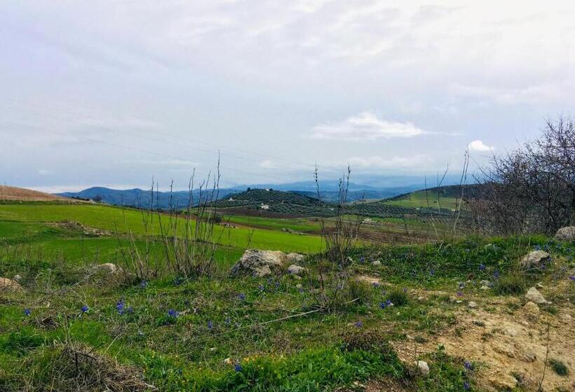 Bed and Breakfast La Sorpresa