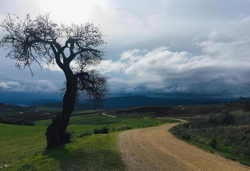 Bed and Breakfast La Sorpresa