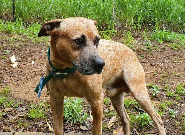 Bed and Breakfast Meyenburg Dorm Room