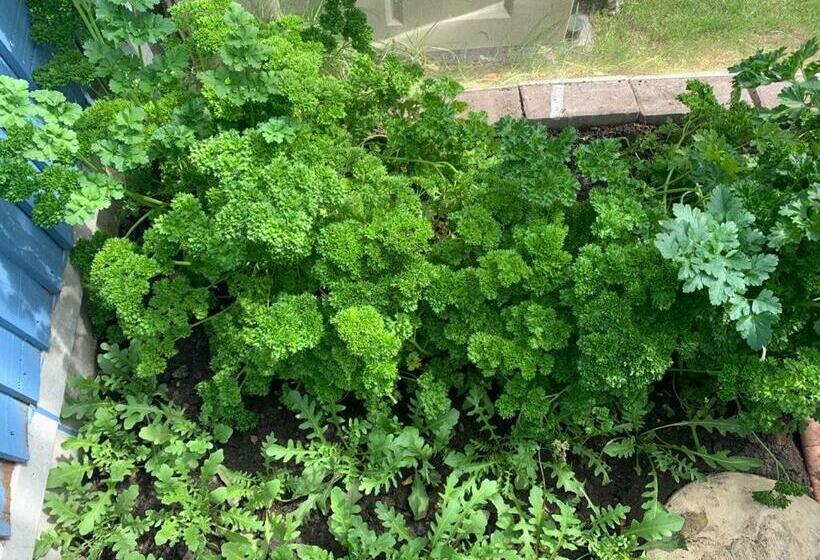 Bed and Breakfast Prince Cottage