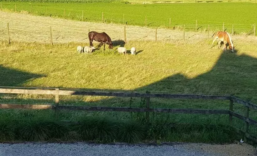 Aamiaismajoitus (B&B) Ruidenberg