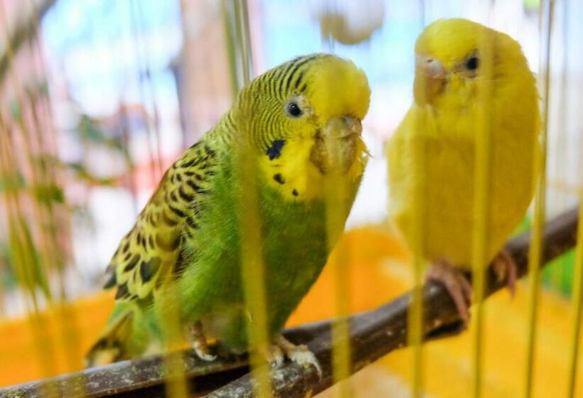 Hotel Seacoast  And Resorts