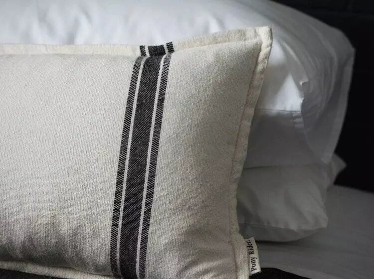 モーテル Cedar Lodge