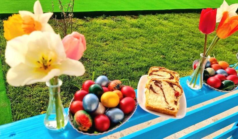 پانسیون Splendoarea Deltei