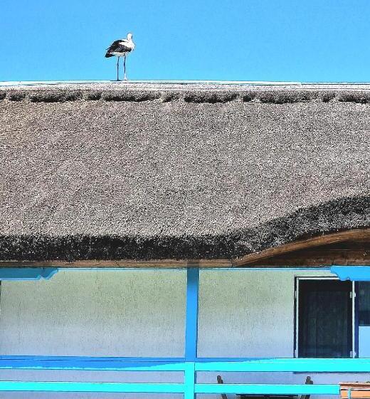 پانسیون Splendoarea Deltei