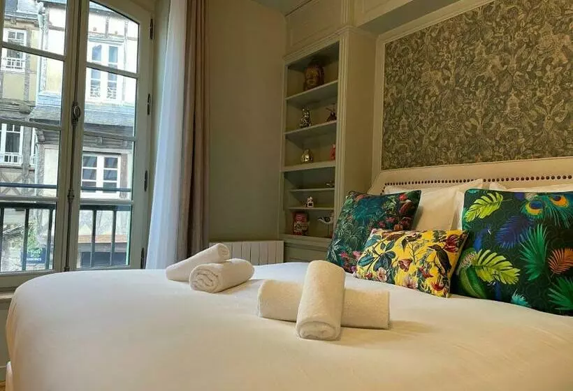 پانسیون Studio Centre Ville Viviane