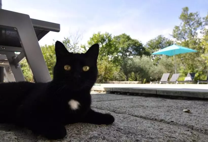 Majatalo Un Je Ne Sais Quoi De Paradis