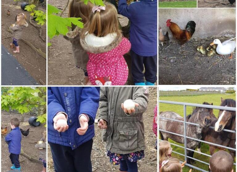 Ross Beach Family Farmhouse B&b