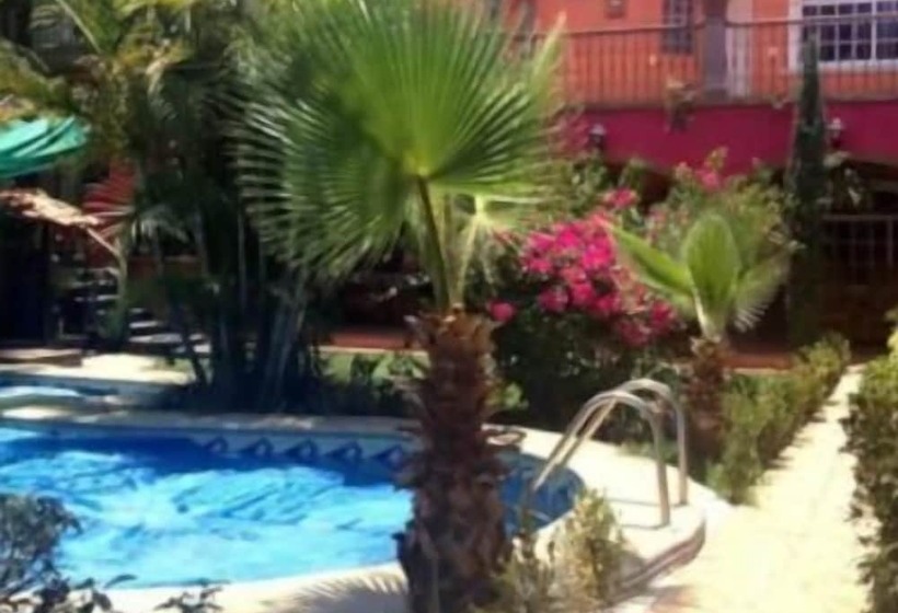 فندق Casa Corita