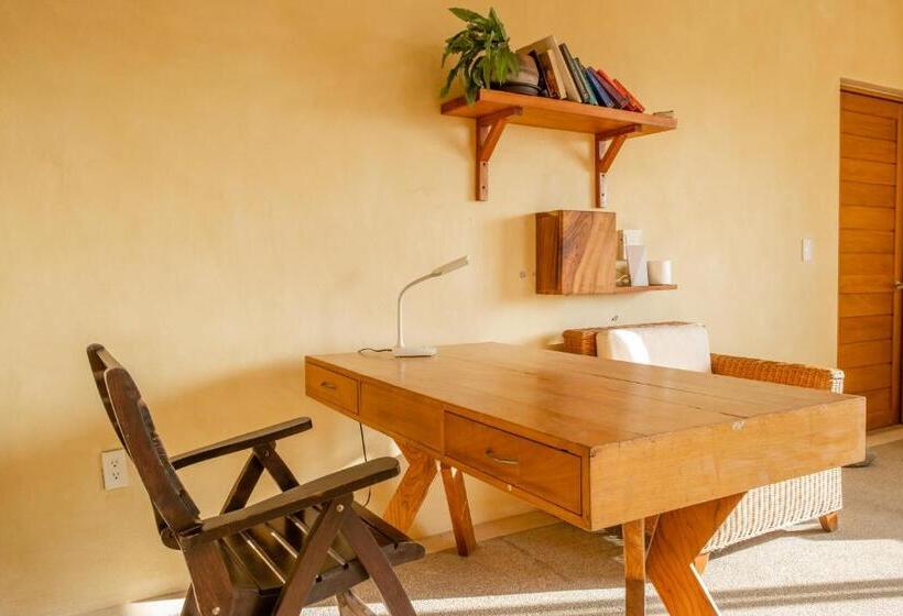 פנסיון Villa Bonobo Coliving