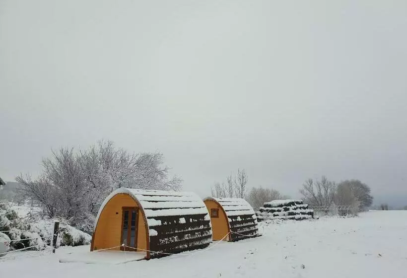 B&b La Ferme Du Château De Broich
