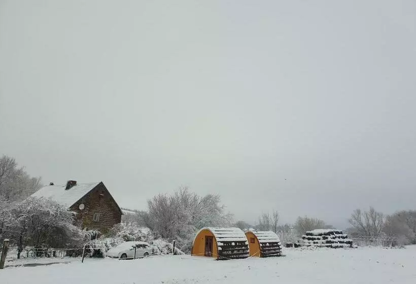B&b La Ferme Du Château De Broich