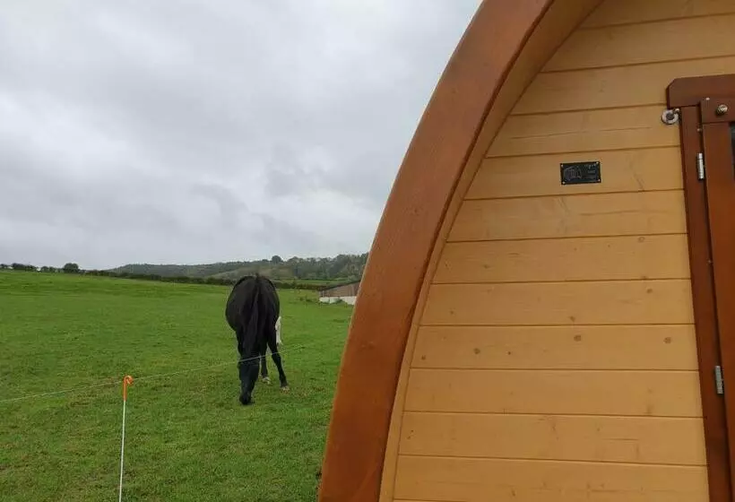 B&b La Ferme Du Château De Broich