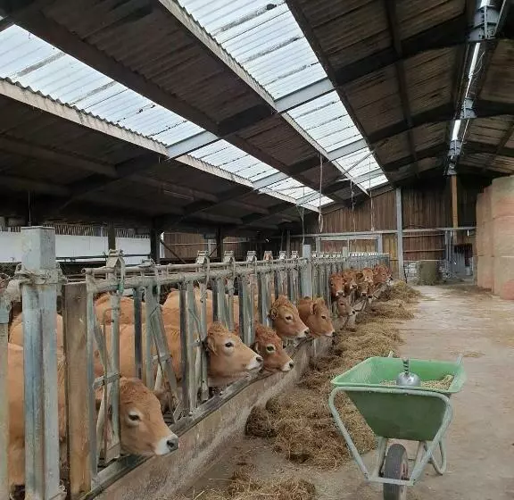 B&b La Ferme Du Château De Broich