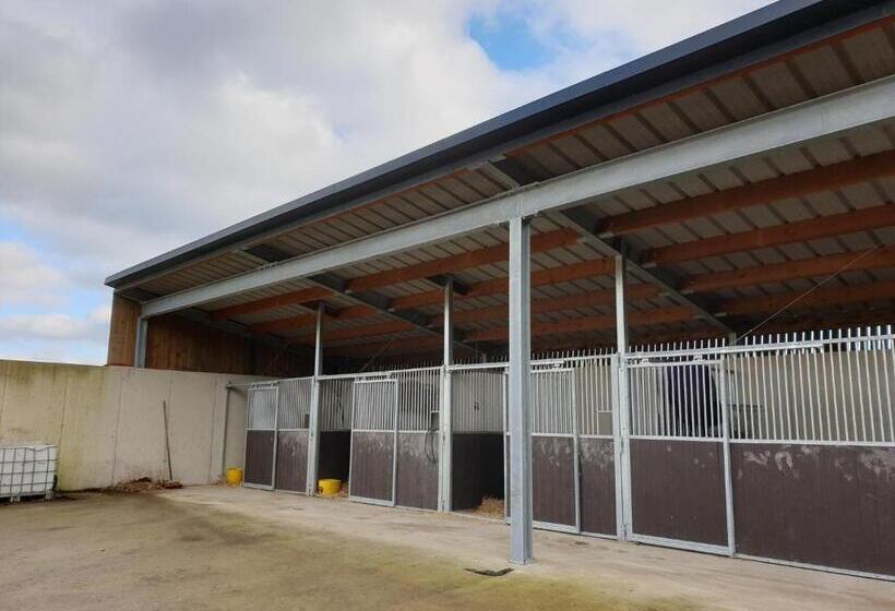 B&b La Ferme Du Château De Broich