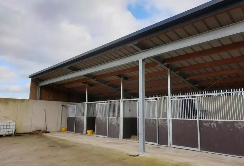 B&b La Ferme Du Château De Broich