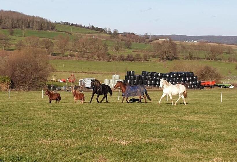B&b La Ferme Du Château De Broich