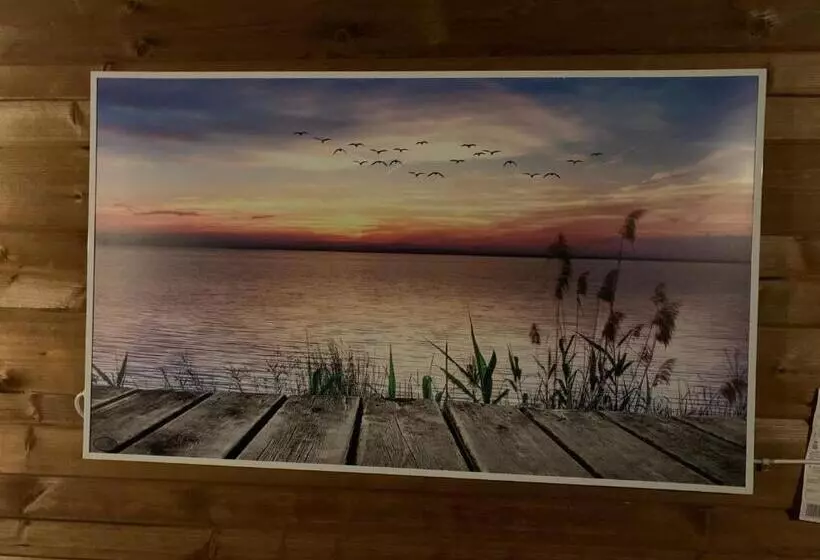 Chalet   B&b De Koog