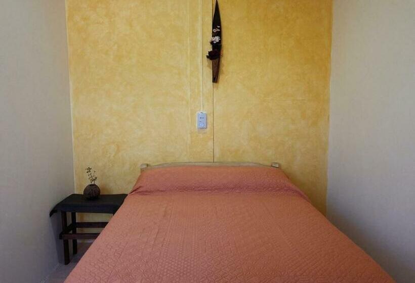 פנסיון Coco Viejo Posada