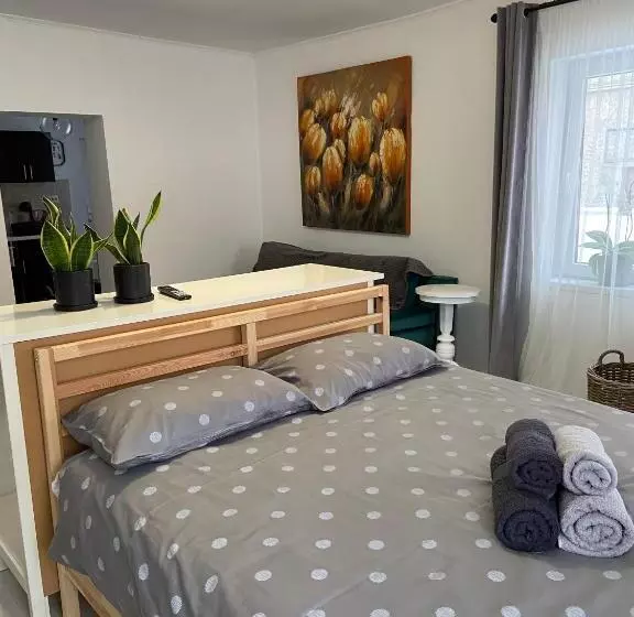 Aamiaismajoitus (B&B) Citadella House Targu Mures