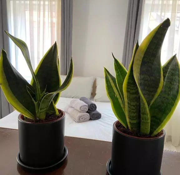 Aamiaismajoitus (B&B) Citadella House Targu Mures