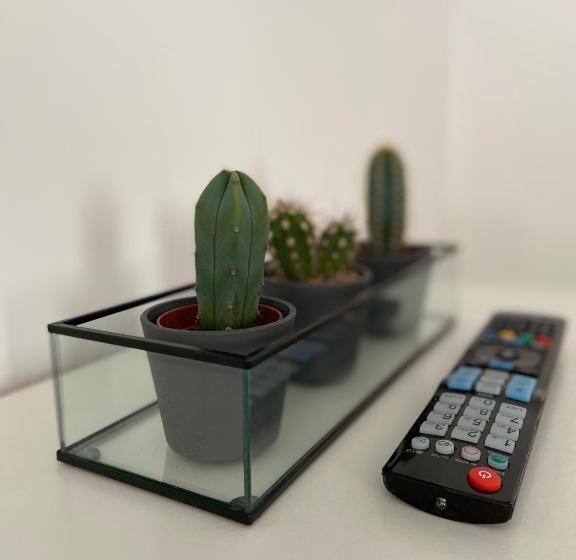 مبيت وإفطار Citadella House Targu Mures