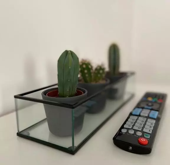 Aamiaismajoitus (B&B) Citadella House Targu Mures