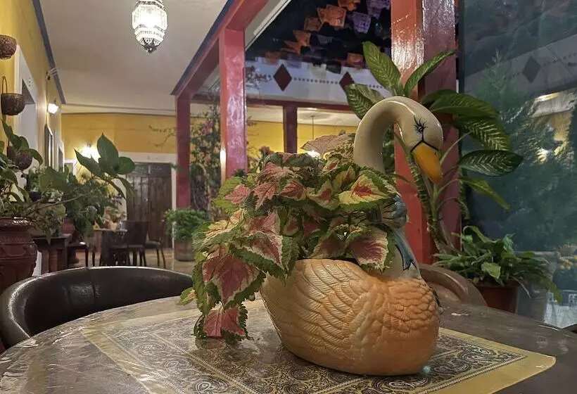 Copa De Oro Hotel Boutique