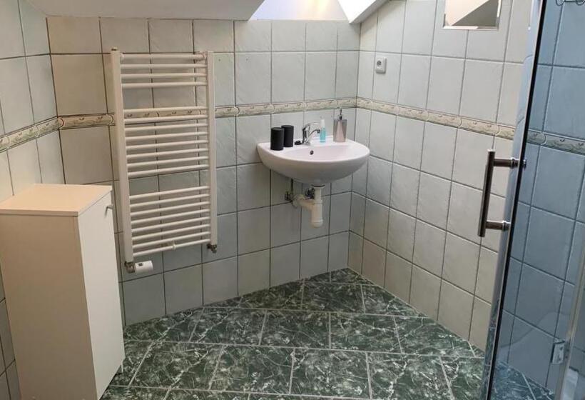 Panzió Penzion Ronox