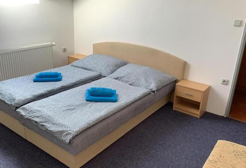 Panzió Penzion Ronox