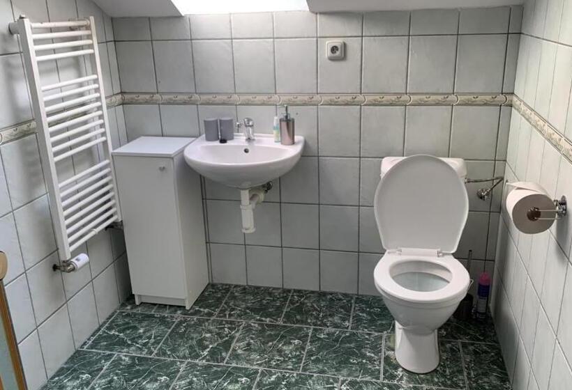 Panzió Penzion Ronox