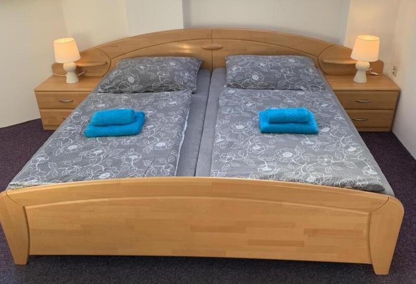 Panzió Penzion Ronox