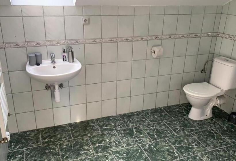 Panzió Penzion Ronox